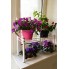 Стелаж для квітів